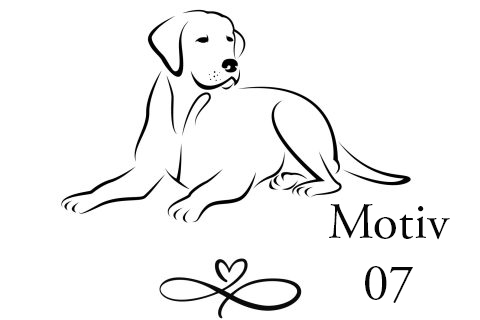 Himmelsbambus – Bild 11