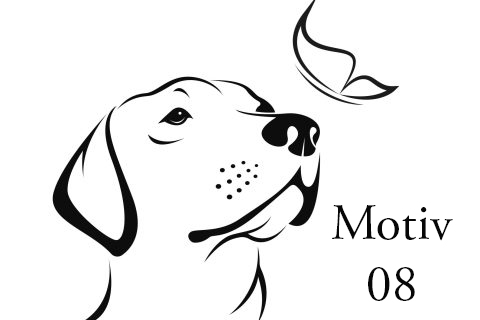 Himmelsbambus – Bild 12