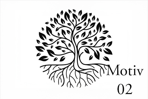 Himmelsbambus – Bild 6