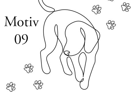 Himmelsbambus – Bild 13